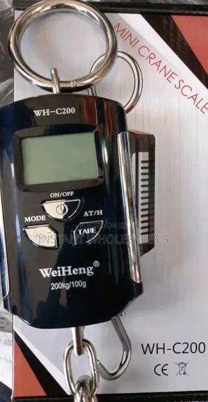 Reliable Accurate Crane Scales - thumbnail 2