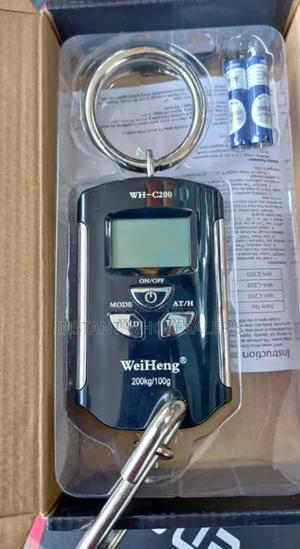 Weighing Hanging Scales - thumbnail 2