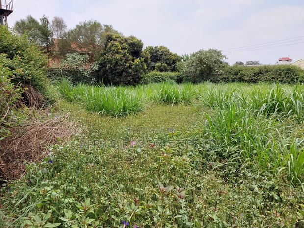 Kiambu Road 1\2 Acre Plot for Sale Opposite Kist - thumbnail 3