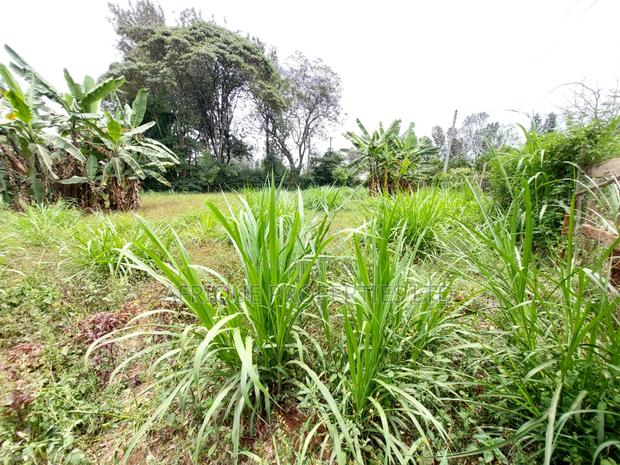 Kiambu Road 1\2 Acre Plot for Sale Opposite Kist - thumbnail 5