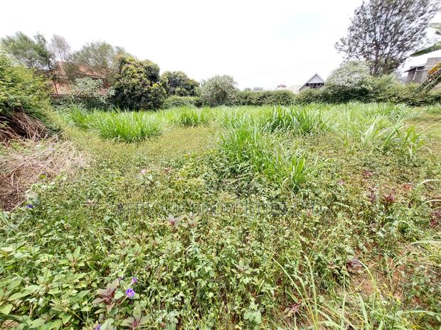 Kiambu Road 1\2 Acre Plot for Sale Opposite Kist - thumbnail 6
