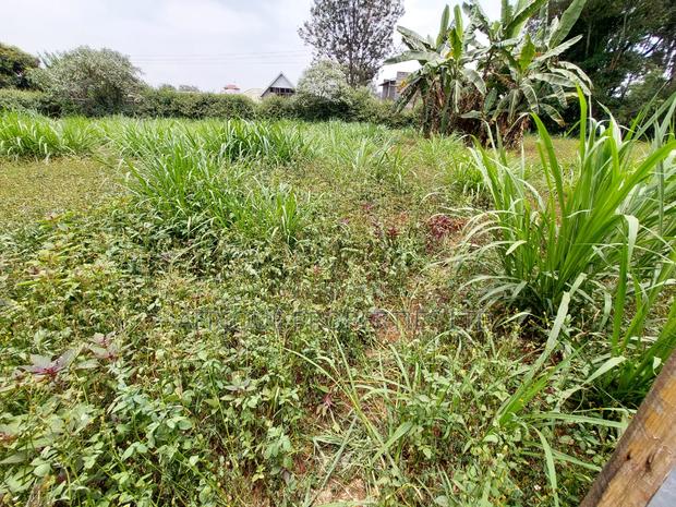 Kiambu Road 1\2 Acre Plot for Sale Opposite Kist - thumbnail 8