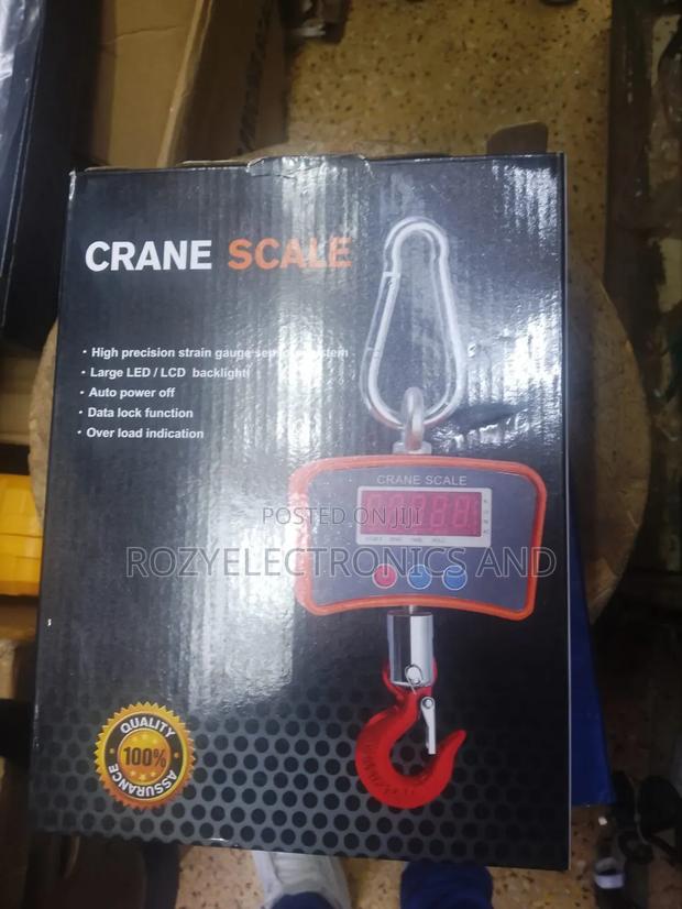 Crane Digital Scale 500kg