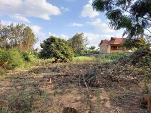 Kiukenda Estate 1\2 Acre Plot for Sale - thumbnail 2