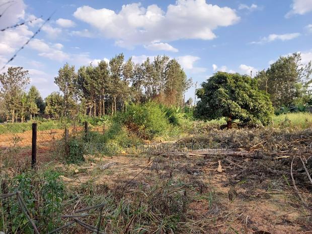 Kiukenda Estate 1\2 Acre Plot for Sale - thumbnail 3