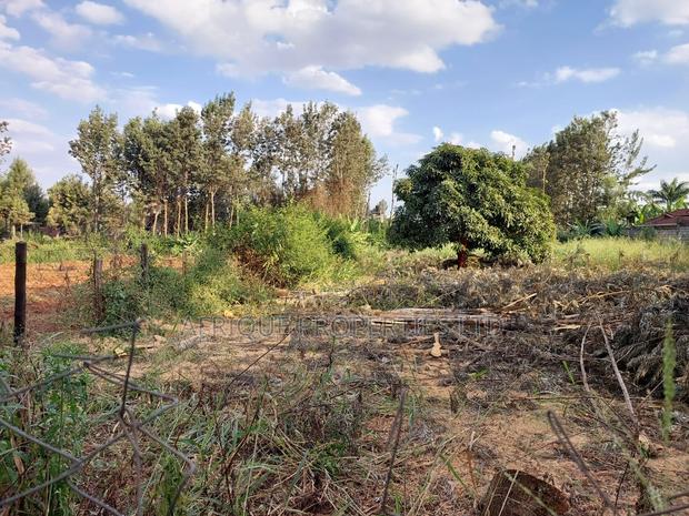 Kiukenda Estate 1\2 Acre Plot for Sale - thumbnail 4