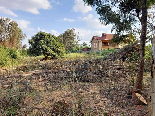 Kiukenda Estate 1\2 Acre Plot for Sale - thumbnail 5