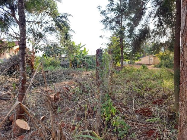 Kiukenda Estate 1\2 Acre Plot for Sale - thumbnail 6