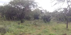 50-Acre Parcel With Prime Access to the New Suswa Bnypass