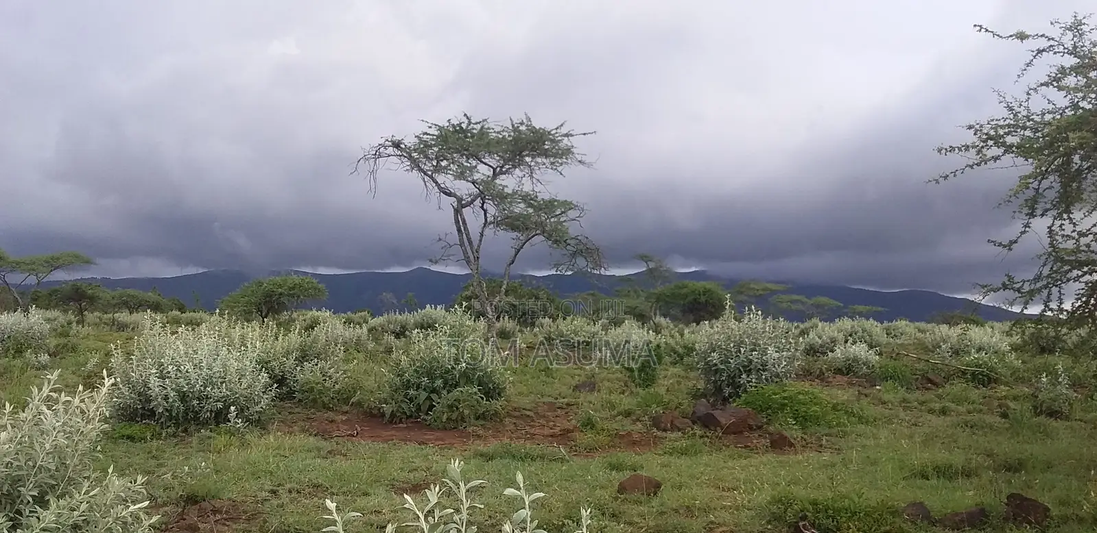 50-Acre Parcel With Prime Access to the New Suswa Bnypass