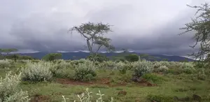 50-Acre Parcel With Prime Access to the New Suswa Bnypass