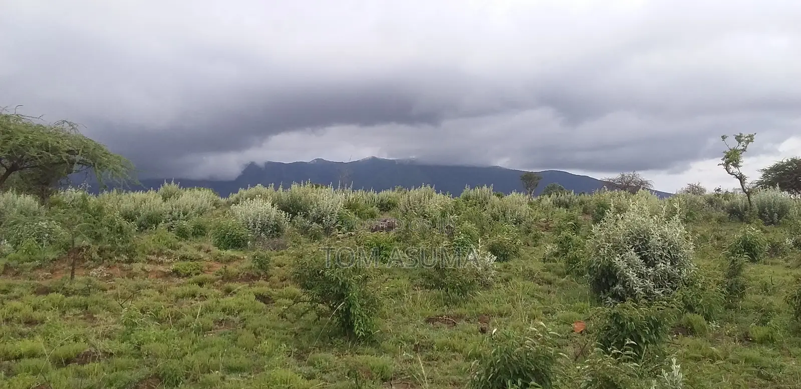 50-Acre Parcel With Prime Access to the New Suswa Bnypass