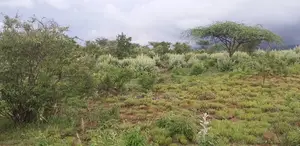 50-Acre Parcel With Prime Access to the New Suswa Bnypass