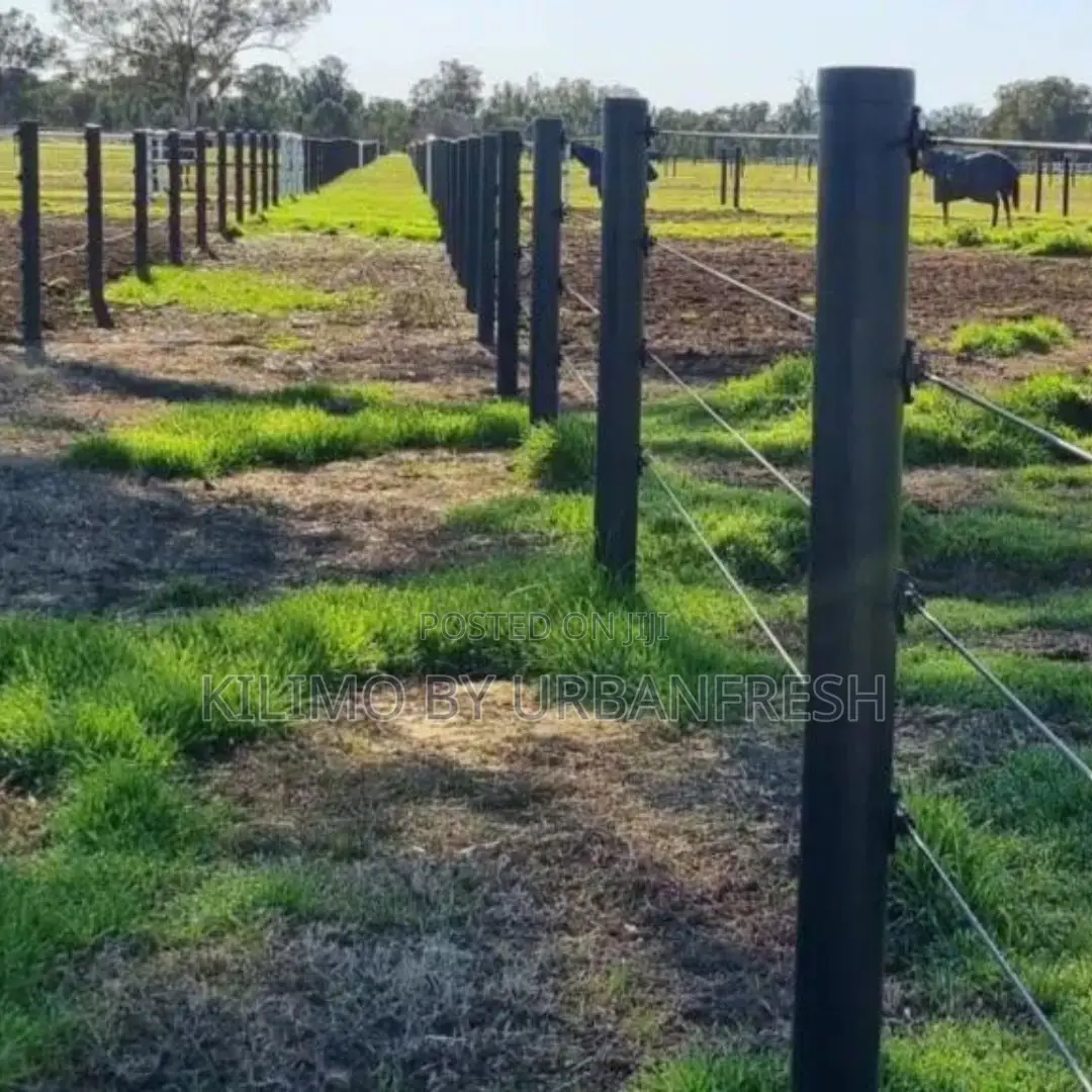 Plastic Fencing Poles(10fth:4.5-5" Moq 10