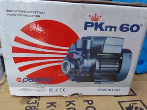 Pedrollo Pump With Peripheral Impeller