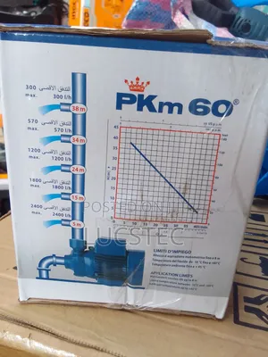Pedrollo Pump With Peripheral Impeller