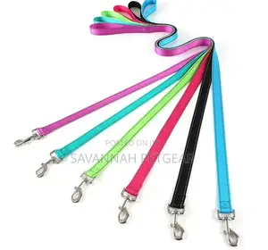 Urbadog Standard Nylon Dog Leash With Reflective Strip, 1.5m