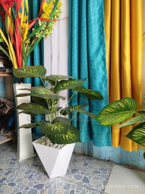 Plastic Vase And Plant Interior
