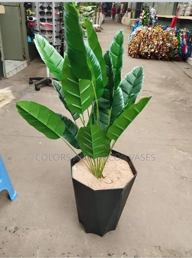 Black Vase With Banana Plant