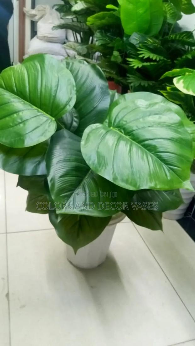 Green Plant With Vase KSH 2000. - main view