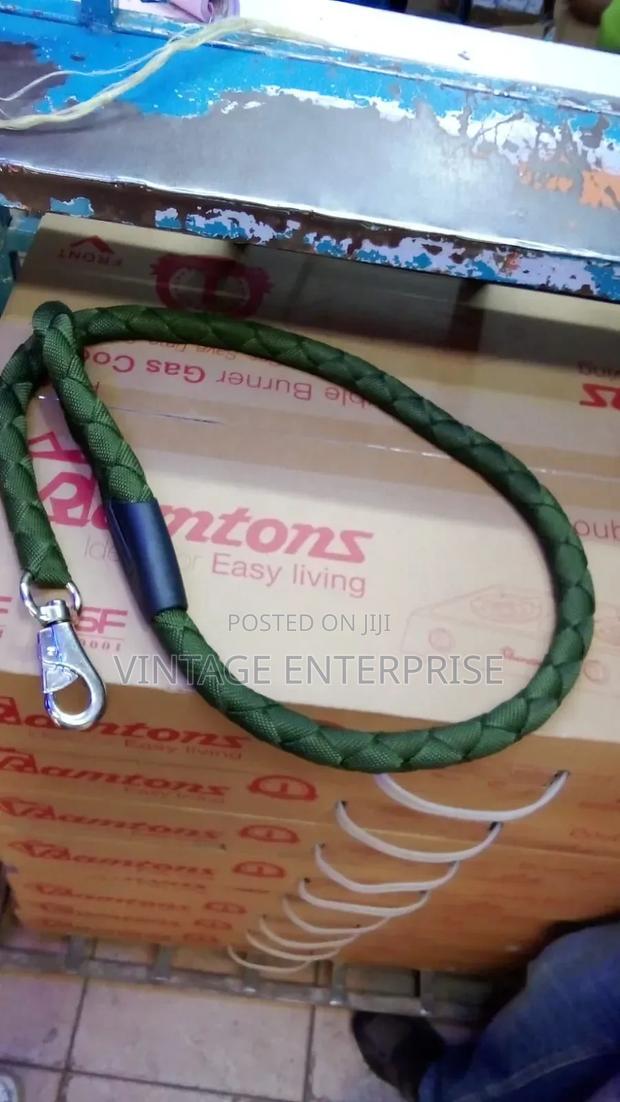 Dog Leash / - main view