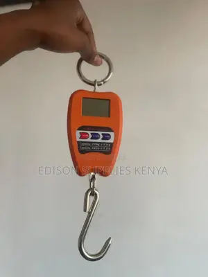 Crane Scale 200kgs Digital Hanging Weighing Scale