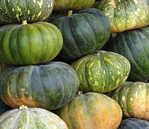 Pumpkin Seeds For Planting 25g. - thumbnail 2