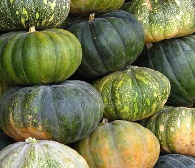 Pumpkin Seeds For Planting 25g. - main view