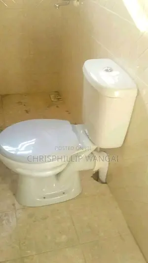 Plumbing Services