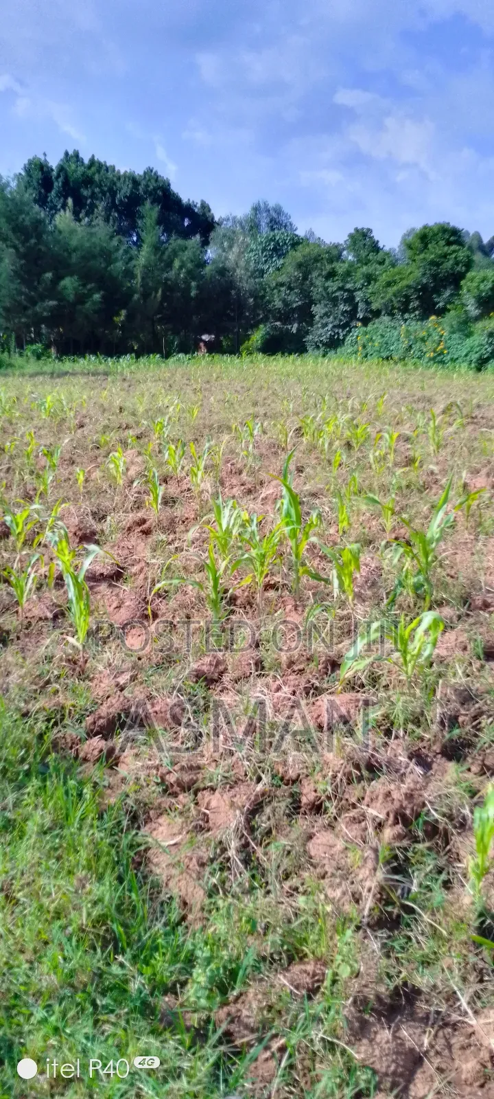 Land and Plots in Kitale
