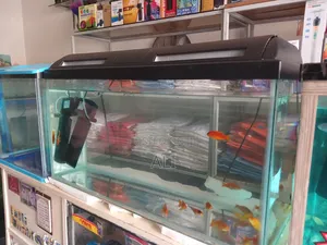 Aquariums Fish and Birds