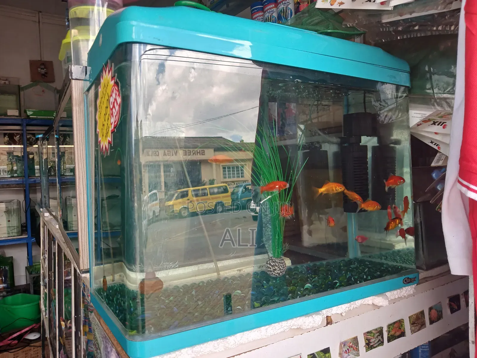 Aquariums Fish and Birds