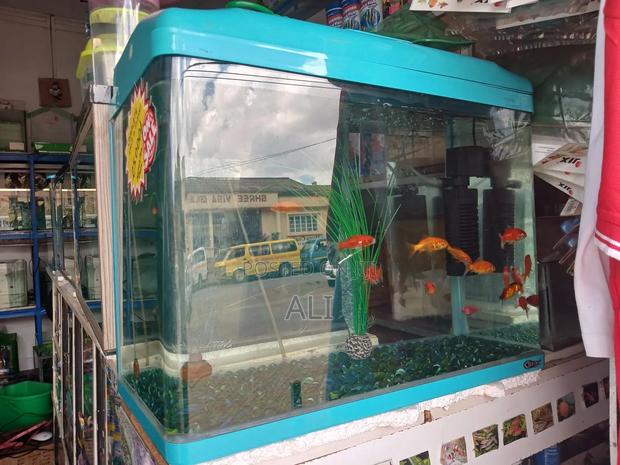 Aquariums Fish and Birds