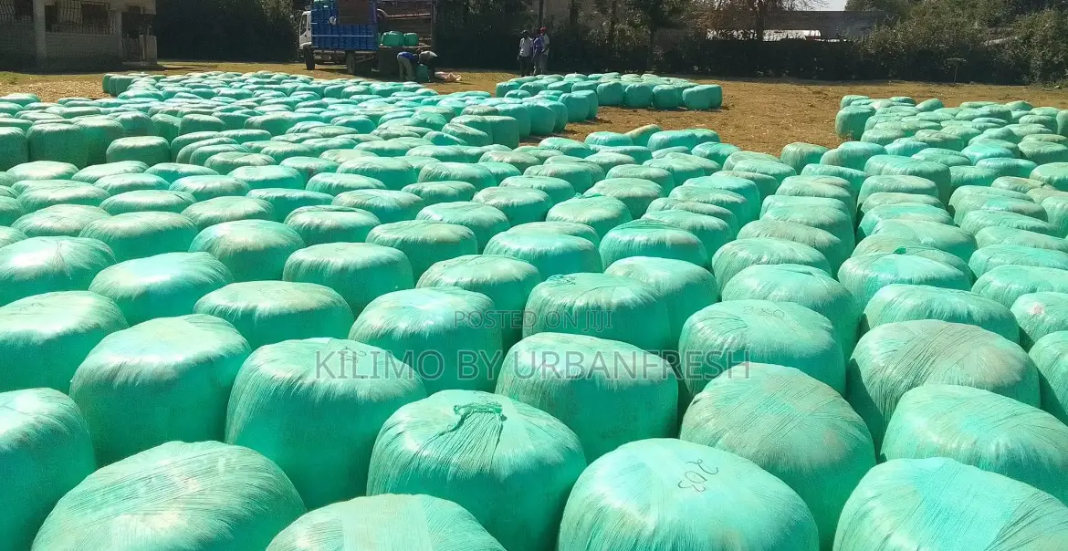 Silage Baled Full Corn : Minimum Bales Per Order 5.