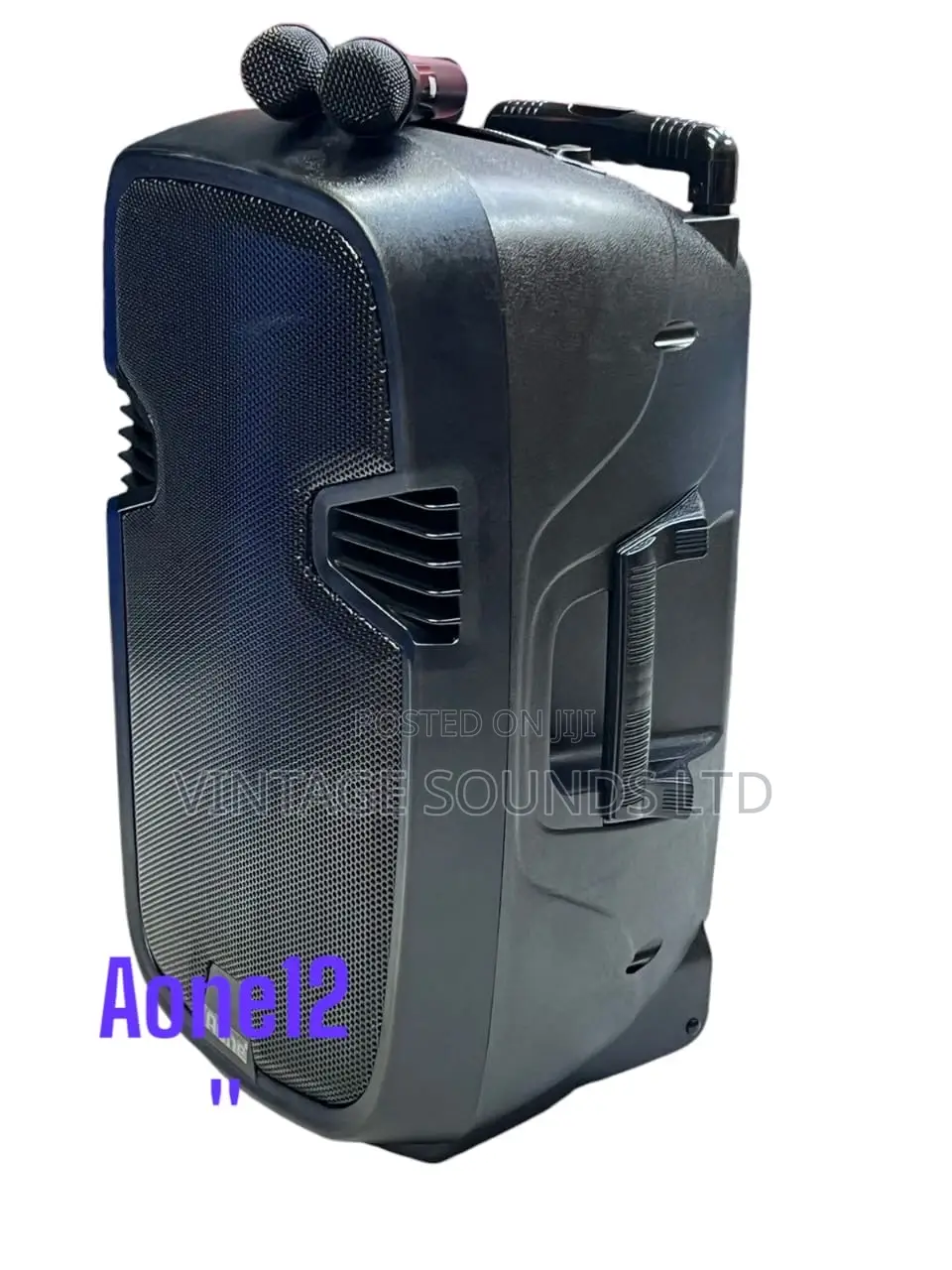 Aone 12” Powered Rechargeable Trolley Speaker W/2mics