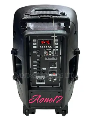 Aone 12” Powered Rechargeable Trolley Speaker W/2mics