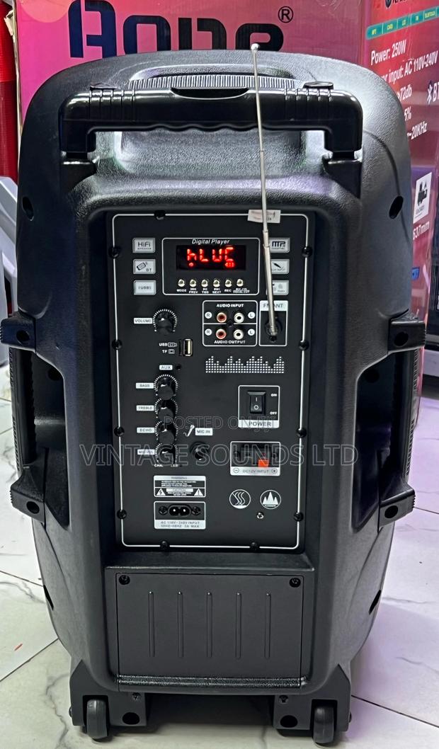 Aone 12 “ Active Portable Rechargeable Speaker W/ 2mics - thumbnail 3