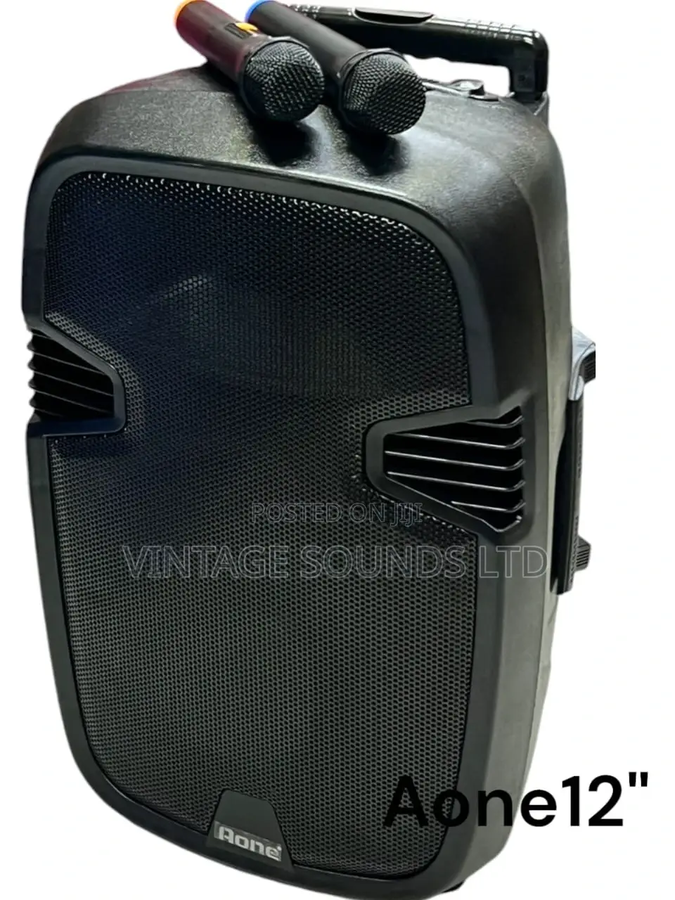 Aone 12inch Rechargeable Portable Amplified Powered Speaker