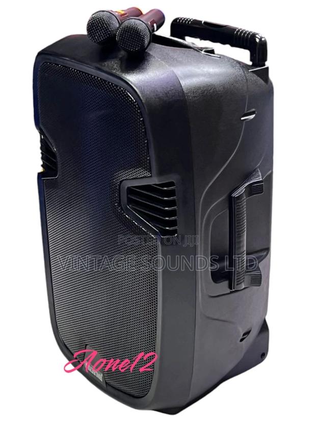 Aone 12inch Rechargeable Amplified Speaker With 2microphones