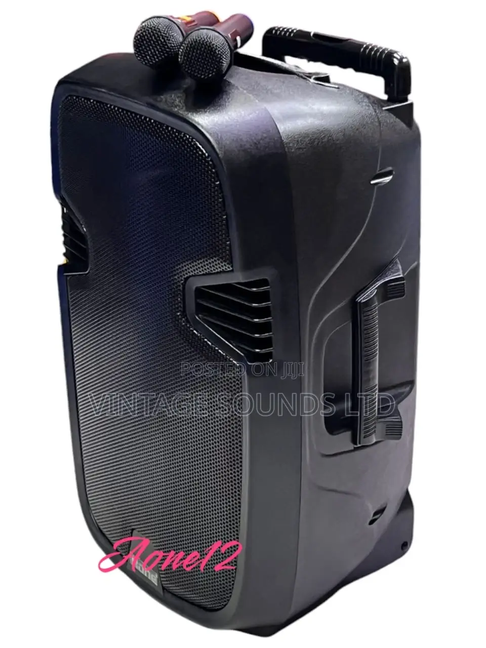 Aone 12inch Rechargeable Amplified Speaker With 2microphones