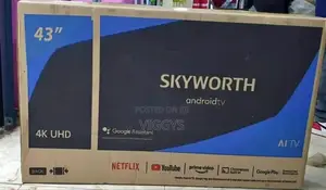 Google Skyworth 43 Inch GS-01