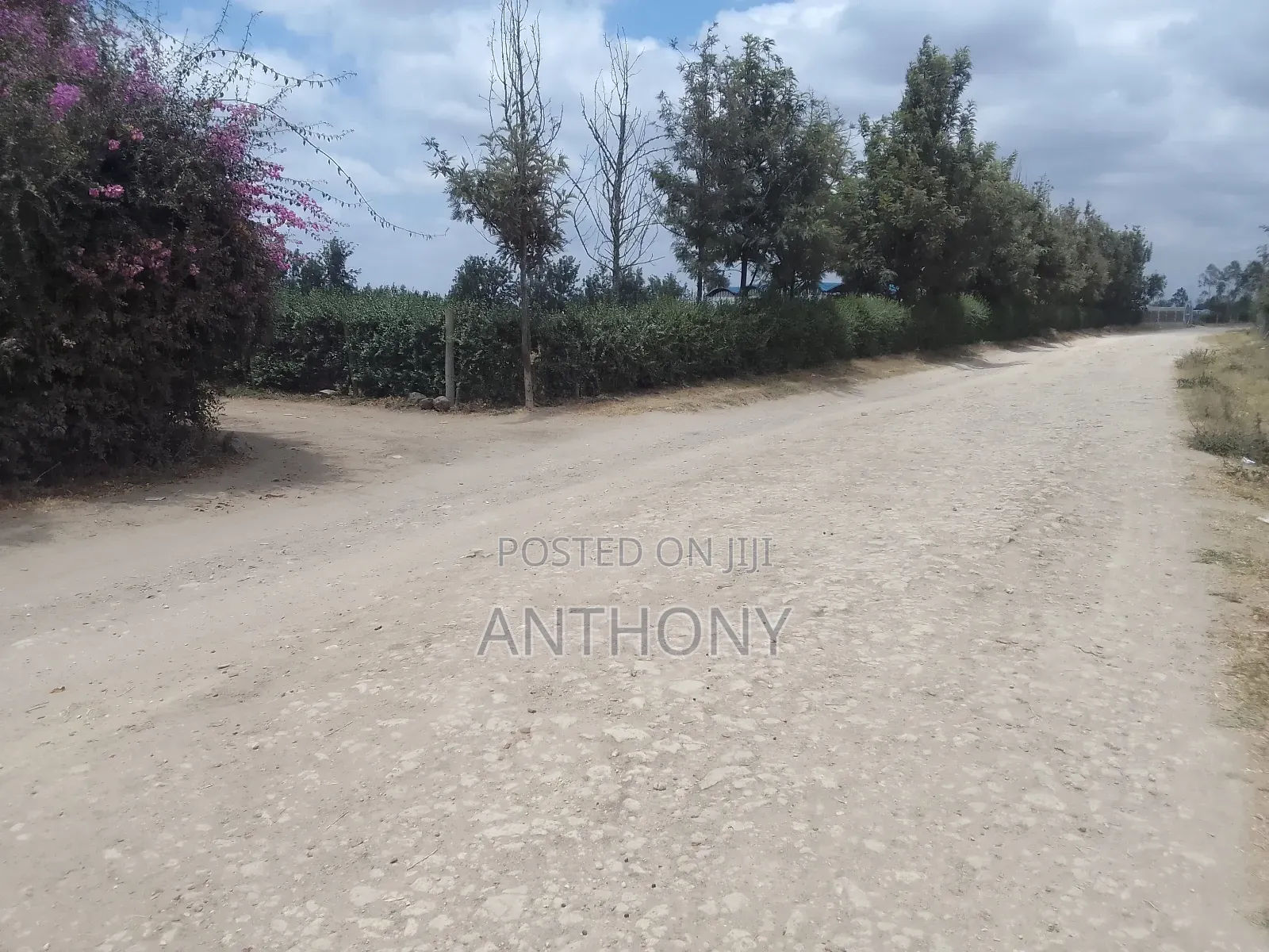 Kitengela, Enkasiti. 1/8 Acre