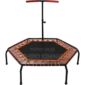 Mini Trampoline With Stand Best Quality New Brand