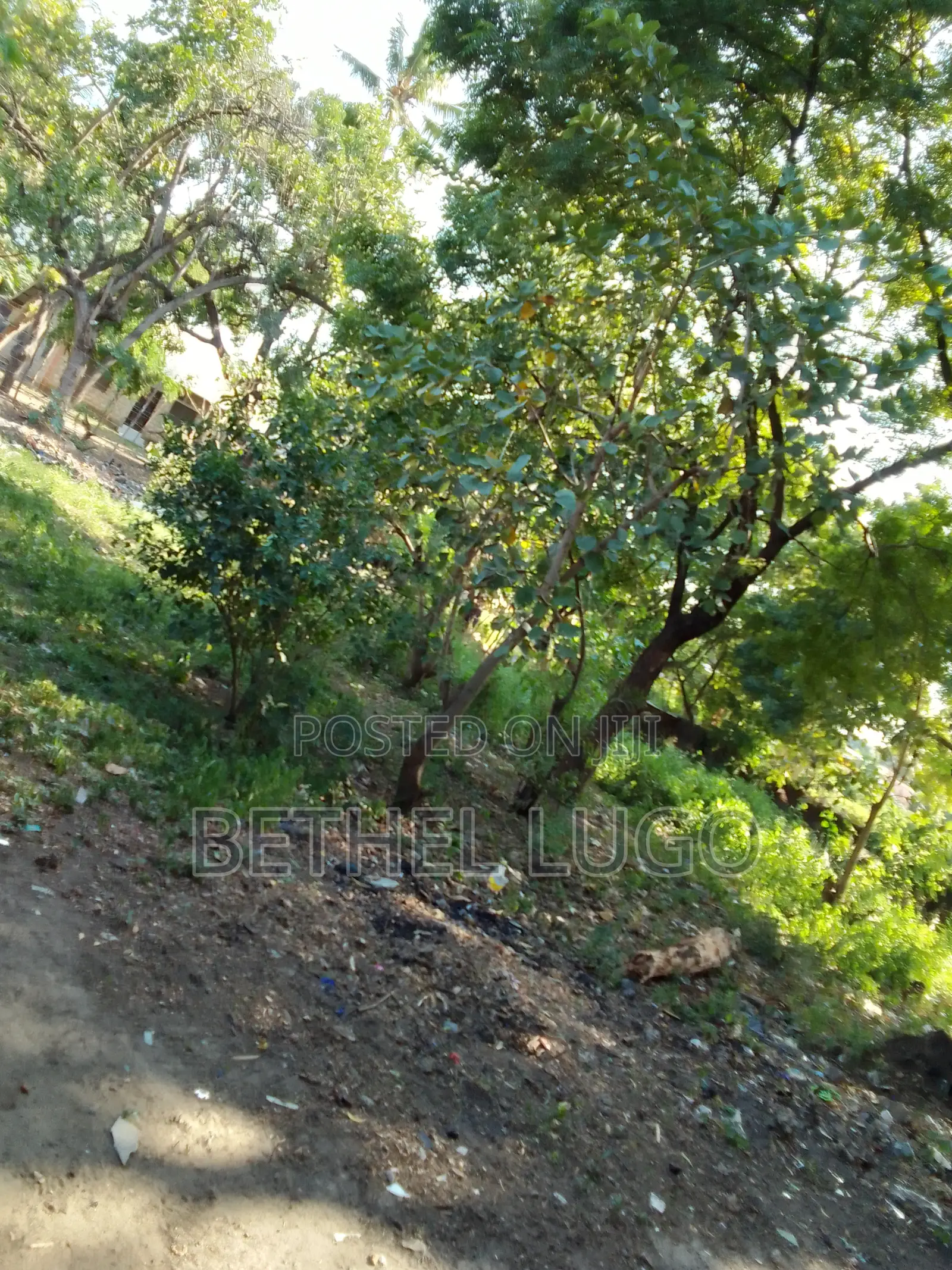 1/4 an Acre~ Kisauni, Frere Town: Title Deed Available