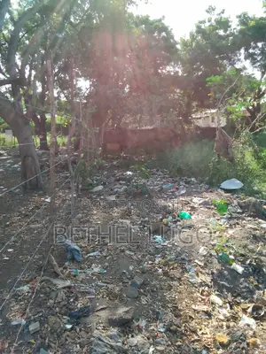 1/4 an Acre~ Kisauni, Frere Town: Title Deed Available