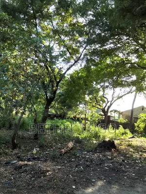1/4 an Acre~ Kisauni, Frere Town: Title Deed Available