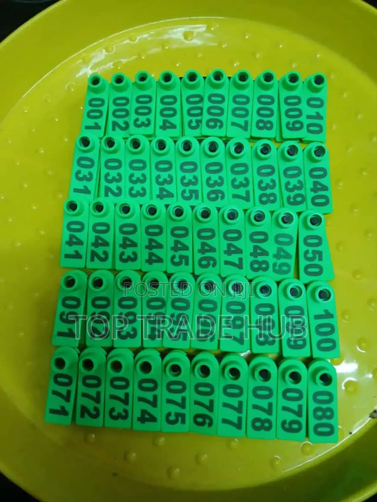 Ear Tags/Tip Tags