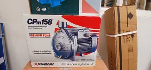 1 Hp Original Pedrollo
