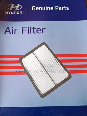 Hyundai Santa Fe Air Cleaners