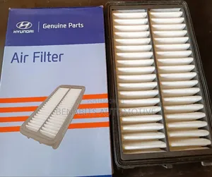 New Hyundai Tucson Nx4 Air Cleaner